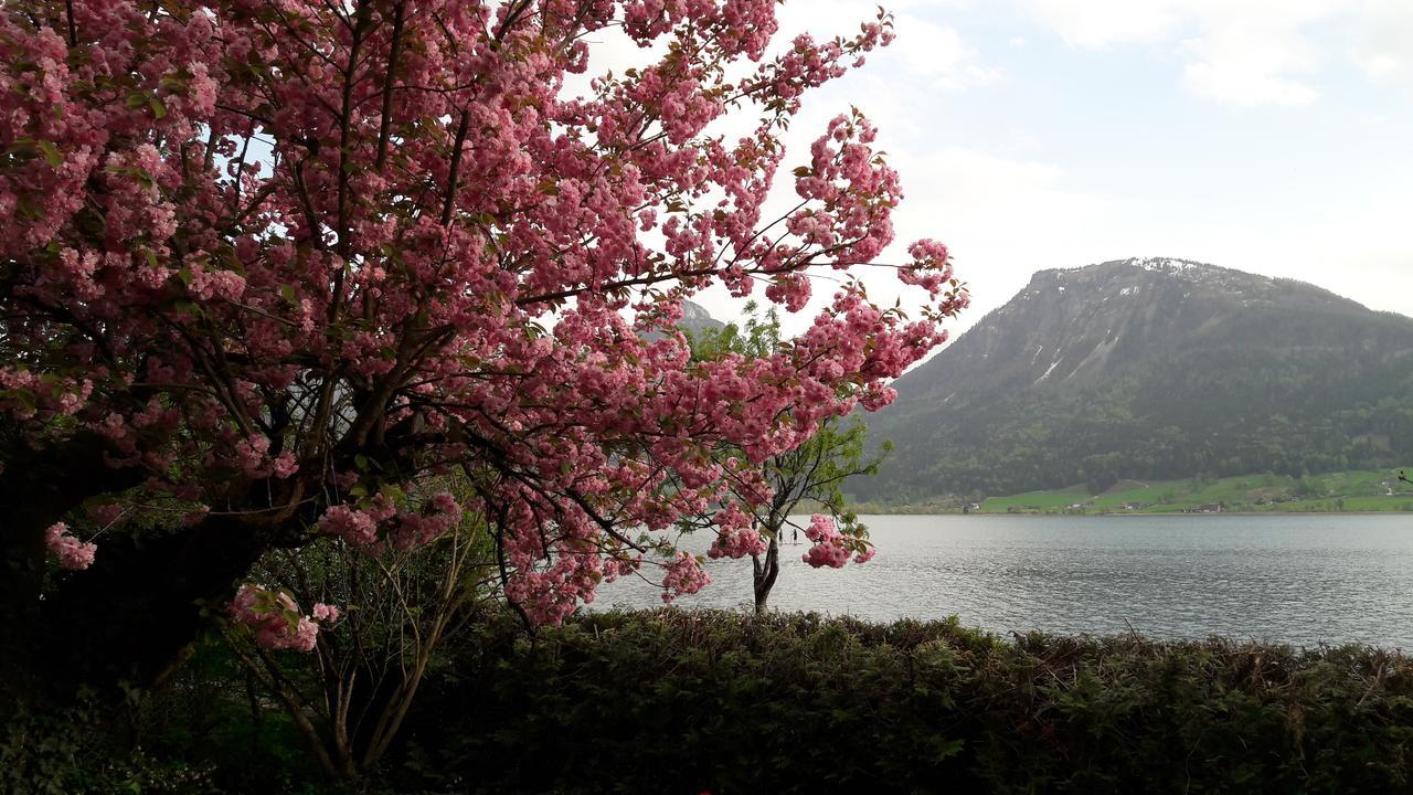 Aberseeblick Pension Ellmauer Saint Wolfgang 외부 사진